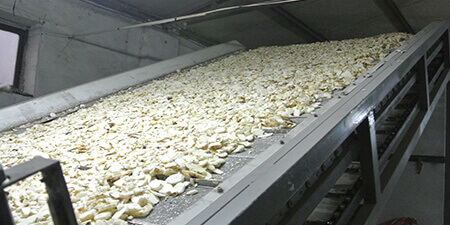 Cassava Dryer