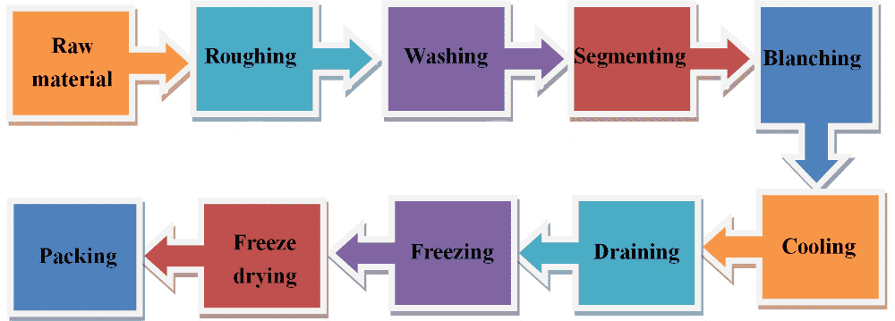 Industrial Freeze Drying Process Machine