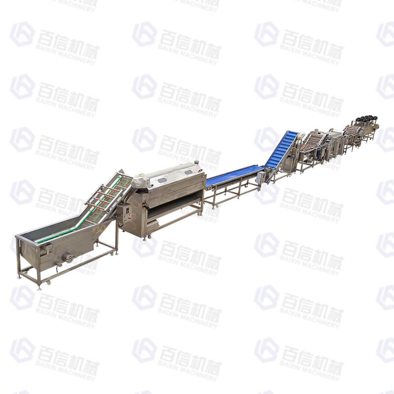 Fruit and vegetable processing line_Henan Baixin Machinery
