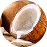 coconut husk drying machine